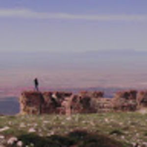 Meet your Posher, Cory